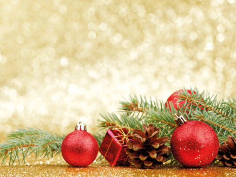 Festive Christmas Roast Lunches