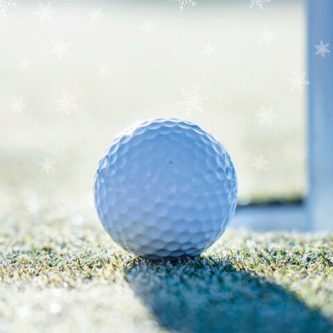 December Golf Days