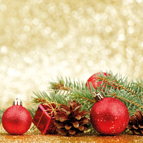 Festive Christmas Roast Lunches