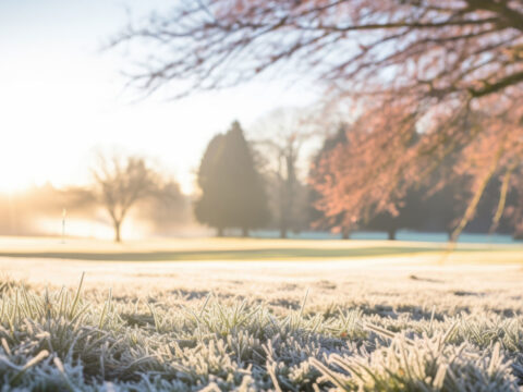 Winter 4-Ball Golf Deal