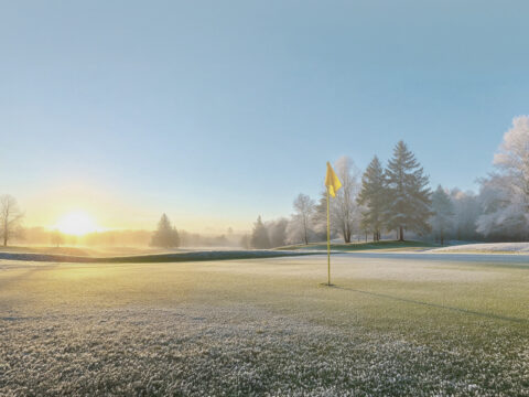 January 4-Ball Offer at The Warren