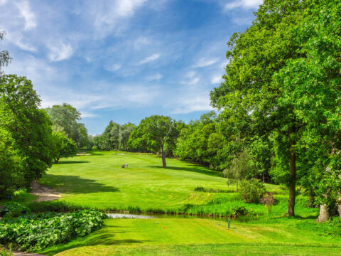 Autumn 4-Ball Offer at The Warren