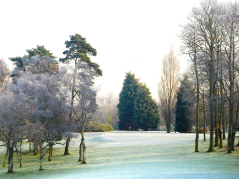 Christmas Group Golf Deal