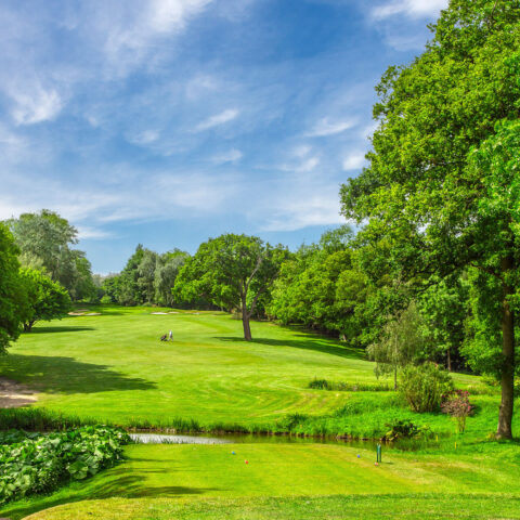 Autumn 4-Ball Offer at The Warren