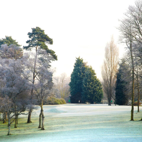 Christmas Group Golf Deal