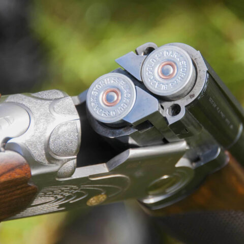 Clay Pigeon Shooting